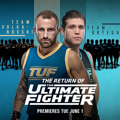 Ultimate Fighter Bwin